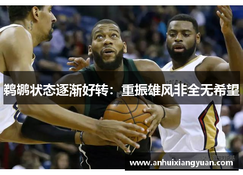 鹈鹕状态逐渐好转：重振雄风非全无希望